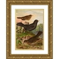 thumbnail image 1 of Johann Friedrich Naumann 14x18 Gold Ornate Wood Frame and Double Matted Museum Art Print Titled - Sylvia, 1 of 4