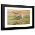 thumbnail image 1 of Johann Friedrich Naumann 18x14 Black Modern Framed Museum Art Print Titled - Fulmarus Ice, Ea-Movensturmvogel, 1 of 5