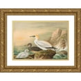 thumbnail image 1 of Johann Friedrich Naumann 18x14 Gold Ornate Wood Frame and Double Matted Museum Art Print Titled - Only Bassana, 1 of 4