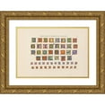 thumbnail image 1 of Johann Georg Brandt 24x18 Gold Ornate Framed and Double Matted Museum Art Print Titled - Alphabets and Font Pattern (1858), 1 of 4