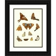 thumbnail image 1 of Johann Heinrich Sulzer 11x14 Black Ornate Wood Framed Double Matted Museum Art Print Titled: Dr. Sulzer's Short History of Insects, Pl. 18 (1776), 1 of 5