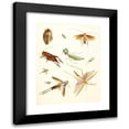 thumbnail image 1 of Johann Heinrich Sulzer 12x14 Black Modern Framed Museum Art Print Titled - Dr. Sulzer's Short History of Insects, Pl. 08 (1776), 1 of 1