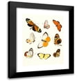 thumbnail image 1 of Johann Heinrich Sulzer 12x14 Black Modern Framed Museum Art Print Titled - Dr. Sulzer's Short History of Insects, Pl. 14 (1776), 1 of 1