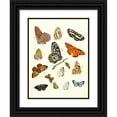 thumbnail image 1 of Johann Heinrich Sulzer 12x14 Black Ornate Wood Framed Double Matted Museum Art Print Titled: Dr. Sulzer's Short History of Insects, Pl. 17 (1776), 1 of 5