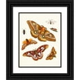 thumbnail image 1 of Johann Heinrich Sulzer 15x18 Black Ornate Wood Framed Double Matted Museum Art Print Titled - Dr. Sulzer's Short History of Insects, Pl. 20 (1776), 1 of 5
