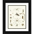 thumbnail image 1 of Johann Heinrich Sulzer 19x24 Black Ornate Framed Double Matted Museum Art Print Titled: Dr. Sulzer's Short History of Insects, Pl. 28 (1776), 1 of 5