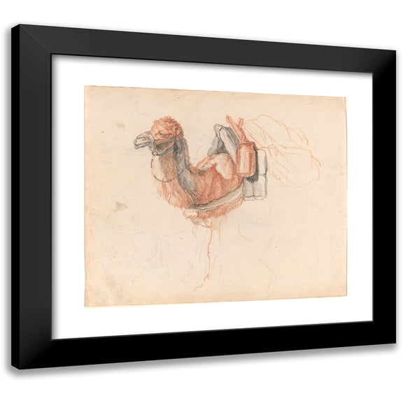 Johann Rudolph Schellenberg 14x12 Black Modern Framed Museum Art Print Titled - Camel (1770s)