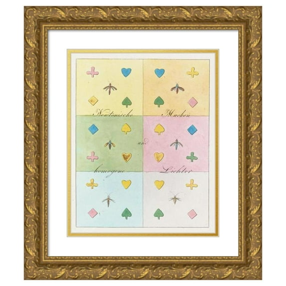 Johann Wolfgang Von Goethe 12x14 Gold Ornate Wood Frame and Double Matted Museum Art Print Titled - On the Color Theory Pl.13 (1810)
