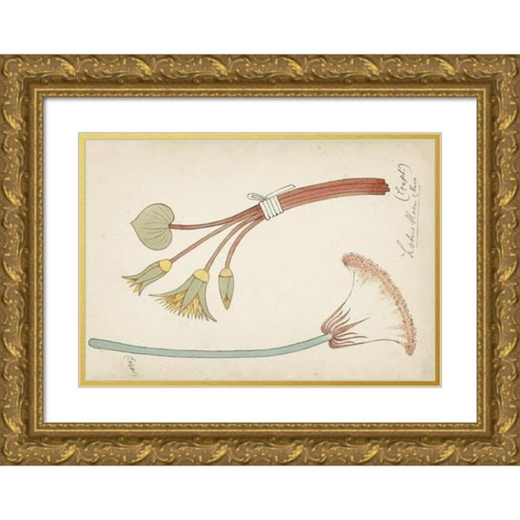 Johanna van de Kamer 18x14 Gold Ornate Wood Frame and Double Matted Museum Art Print Titled - Egyptian Ornament with Lotus Flower and Button (1890)