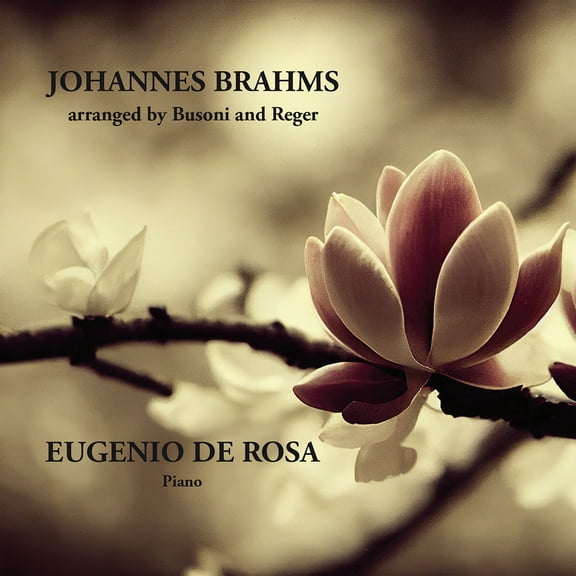 Johannes Brahms - Brahms: Arranged by Busoni & Reger - Music & Performance - CD