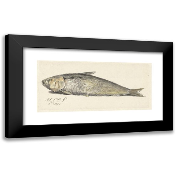 Johannes le Francq van Berkhey 14x8 Black Modern Framed Museum Art Print Titled - Nice (1749)