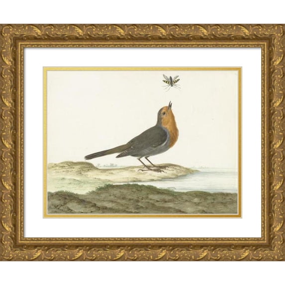 Johannes van Bronckhorst 18x14 Gold Ornate Wood Frame and Double Matted Museum Art Print Titled - Robin (1658 - 1726)