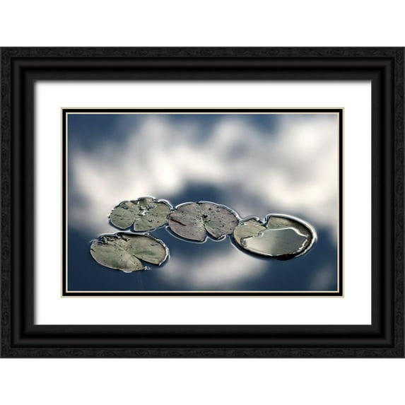 Johansson, Bror 14x11 Black Ornate Wood Framed with Double Matting Museum Art Print Titled - Four