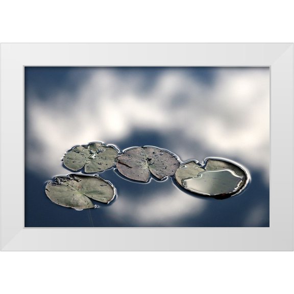 Johansson, Bror 14x11 White Modern Wood Framed Museum Art Print Titled - Four