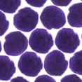 thumbnail image 1 of John Bead 2in Purple Pom Poms for Crafts DIY Art Creative, 50pcs, 1 of 4