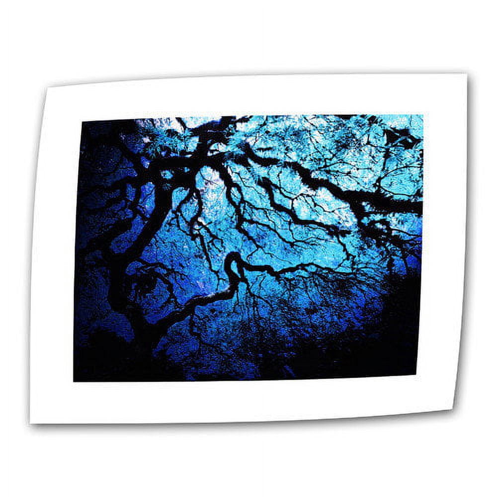 John Black "Japanese Ice Tree" Gallery-Wrapped Canvas