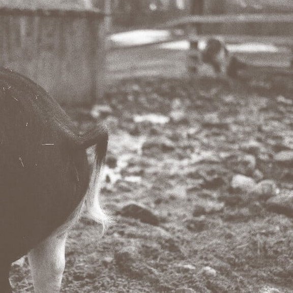 John Chantler - Tomorrow Is Too Late - Music & Performance - CD