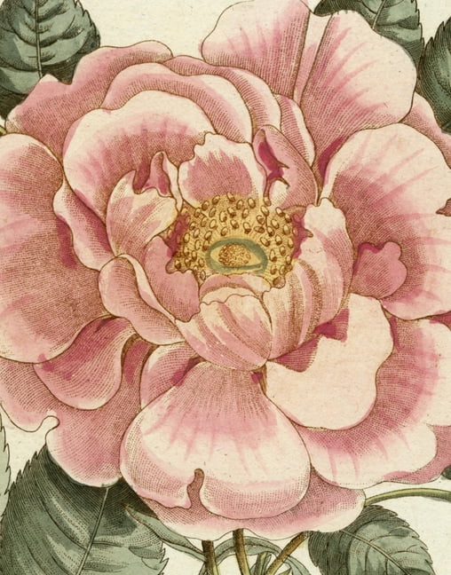 John Derian