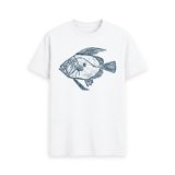 John Dory T-Shirt - Walmart.com