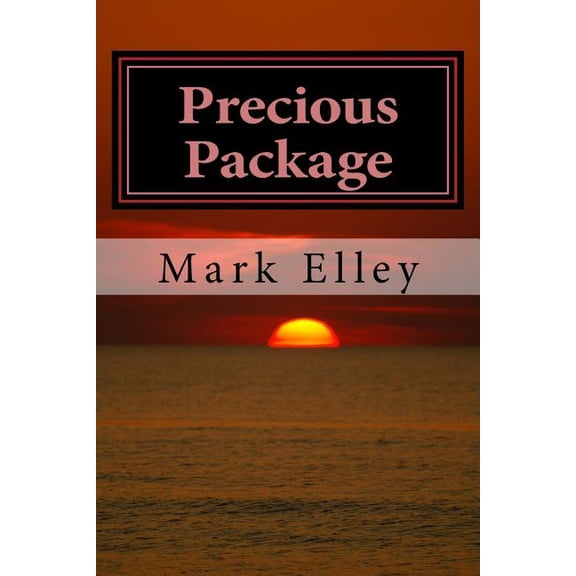Precious Package: A John Doyle Mystery John Doyle Mysteries Paperback 1508720282 9781508720287 Mark Elley