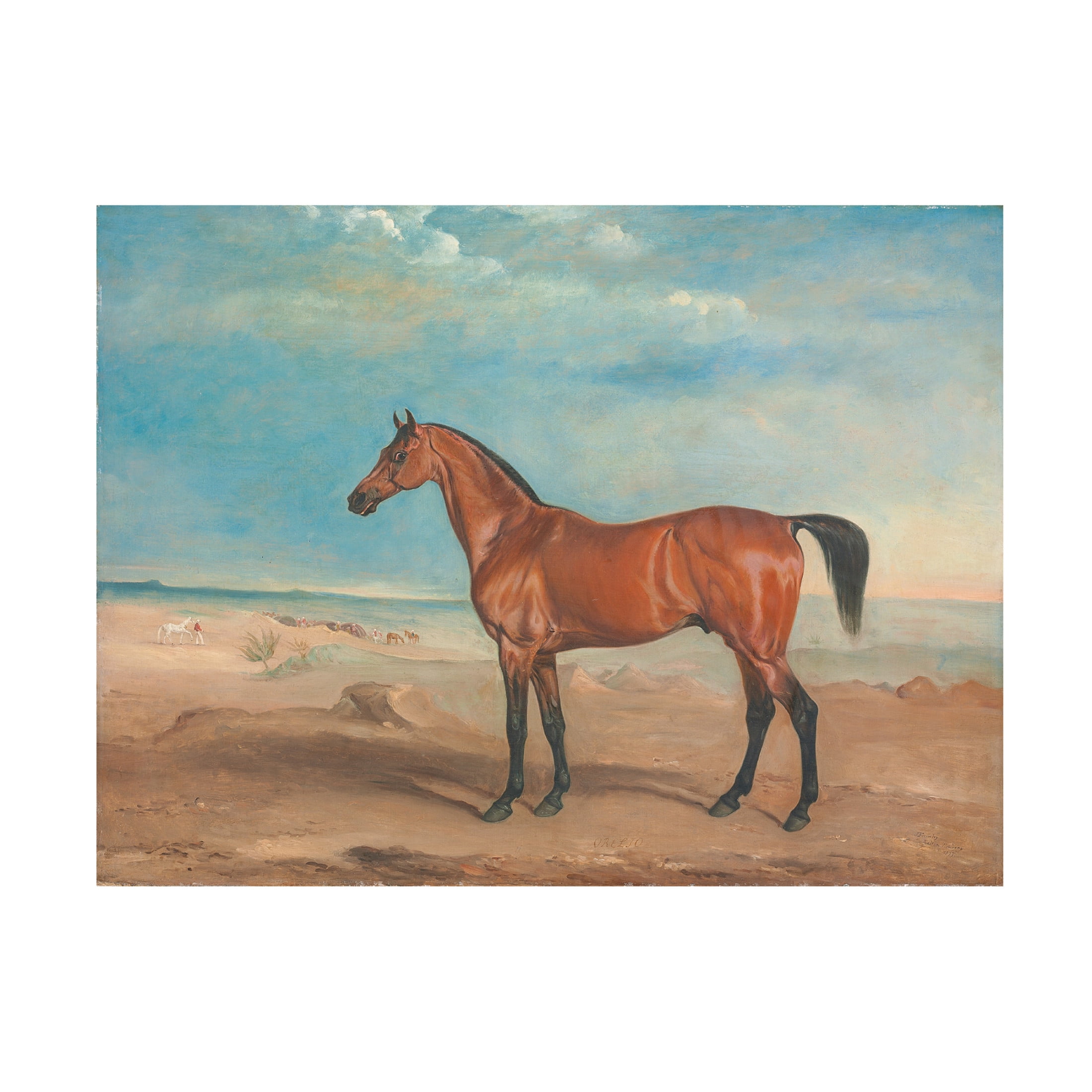 John E. Ferneley 'The Arab stallion 'Orelio' in a Desert Landscape, Other Horses and Figures Beyond, 1833' Canvas Art - 19 x 14 Inches