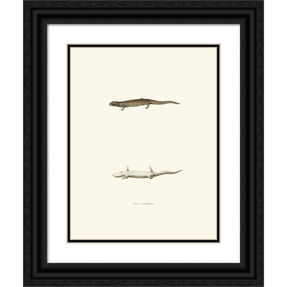 John Edwards Holbrook 15x18 Black Ornate Wood Framed Double Matted