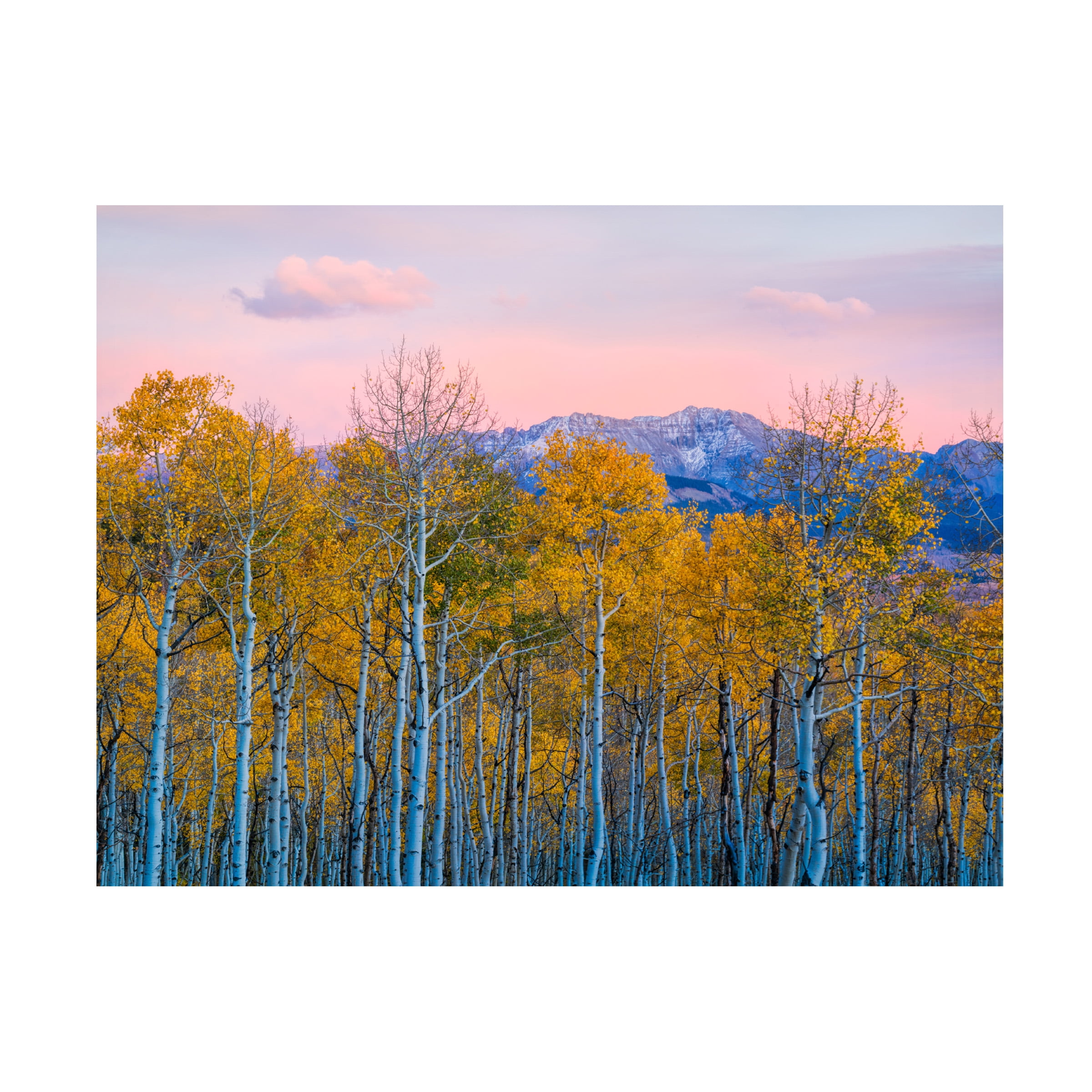 John Fan 'Autumn Delight' Canvas Art
