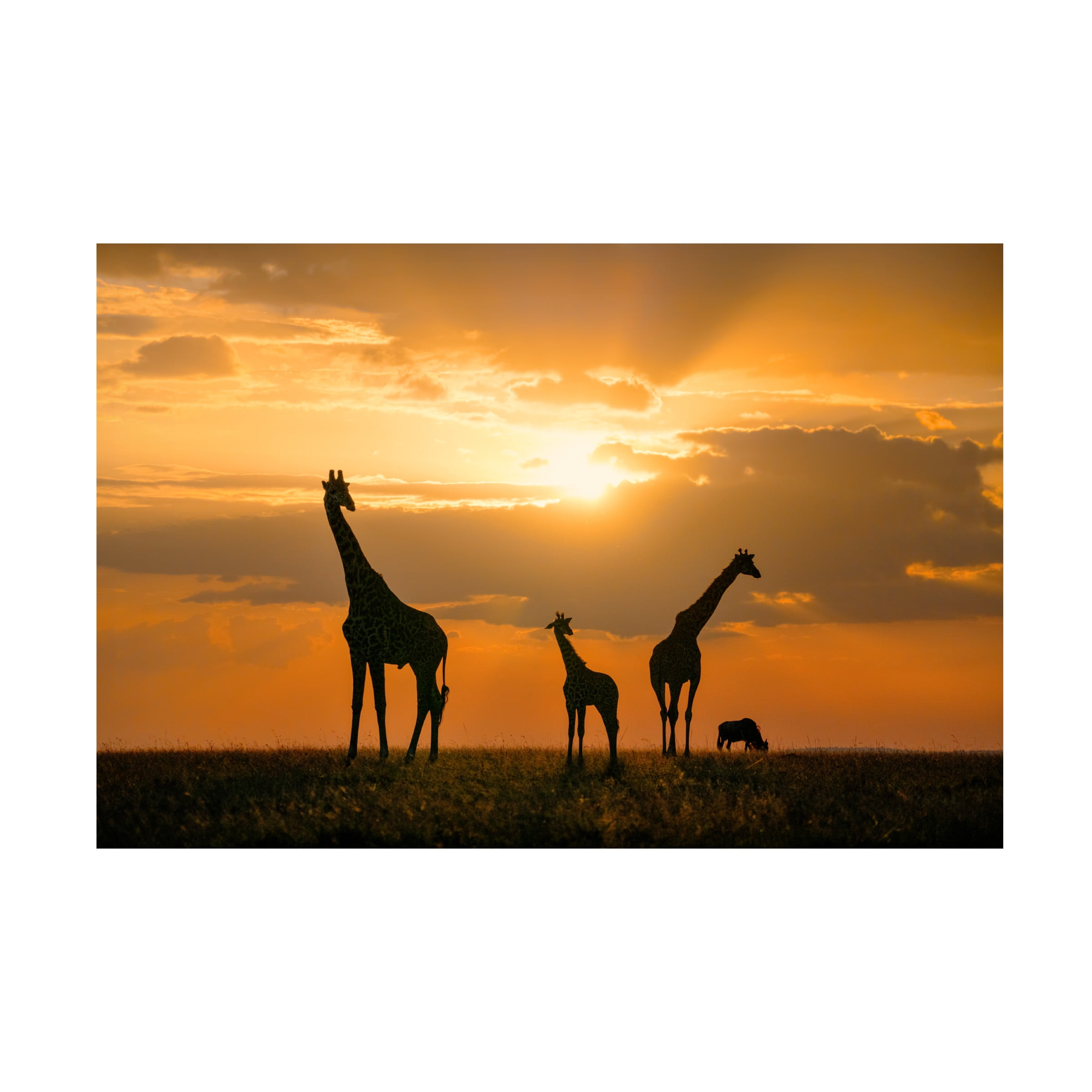 John Fan 'Golden Africa' Canvas Art