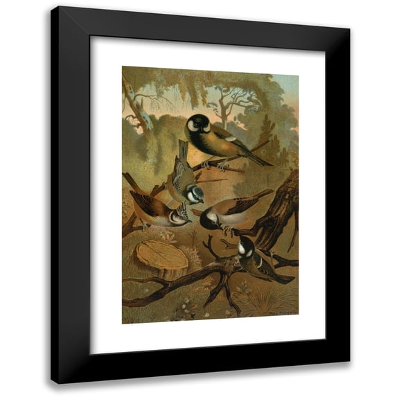 John George Wood 13x18 Black Modern Framed Museum Art Print Titled - Titmice (1898)