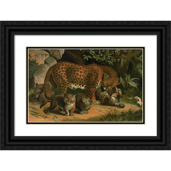 John George Wood 14x11 Black Ornate Wood Framed Double Matted Museum Art Print Titled: Leopard. (1898)