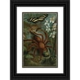 thumbnail image 1 of John George Wood 16x24 Black Ornate Framed Double Matted Museum Art Print Titled: Crab-Spider, or Matoudou. (1898), 1 of 5