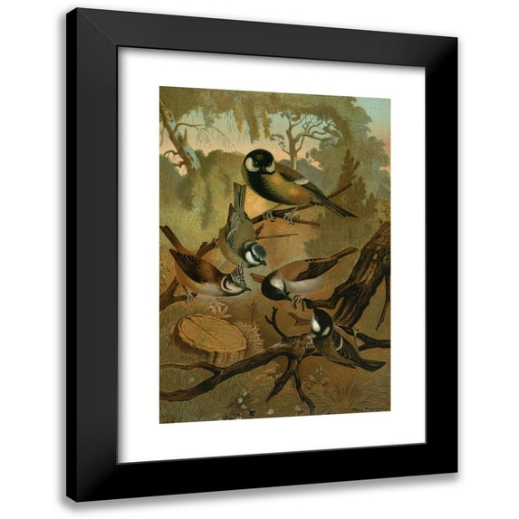 John George Wood 17x24 Black Modern Framed Museum Art Print Titled - Titmice (1898)