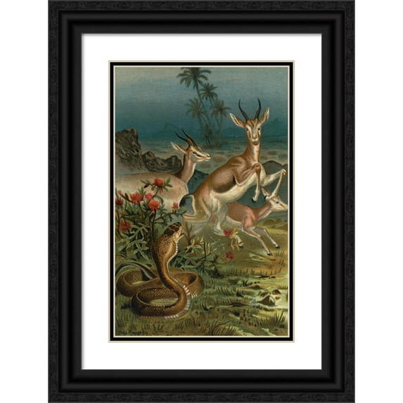 John George Wood 17x24 Black Ornate Framed Double Matted Museum Art Print Titled: African Cobra, or Haje, and Gazelles. (1898)