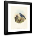 thumbnail image 1 of John Gould 11x14 Black Modern Framed Museum Art Print Titled - Petrocossyphus Cyanus (Blue Rockthrush), 1 of 5