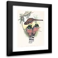 thumbnail image 1 of John Gould 11x14 Black Modern Framed Museum Art Print Titled - Trogan Personatus (Probably 1836-1838), 1 of 5
