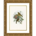 thumbnail image 1 of John Gould 11x14 Gold Ornate Wood Frame and Double Matted Museum Art Print Titled - Ligurinus Chloris (Greenfinch), 1 of 4