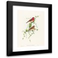 thumbnail image 1 of John Gould 14x18 Black Modern Framed Museum Art Print Titled - Carpodacus Erythrinus (Common Rose Finch), 1 of 5