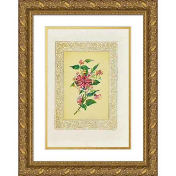 John H. Ingram 18x24 Gold Ornate Framed and Double Matted Museum Art Print Titled - Honeysuckle (1869)