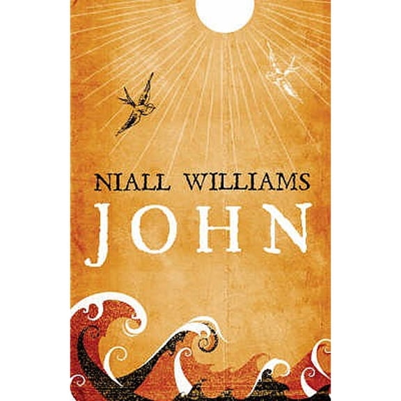 Pre-Owned John (Hardcover) by Niall Williams