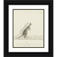 thumbnail image 1 of John Hunter 15x18 Black Ornate Wood Framed Double Matted Museum Art Print Titled - Macropus Sp. (Kangaroo) (1788), 1 of 5
