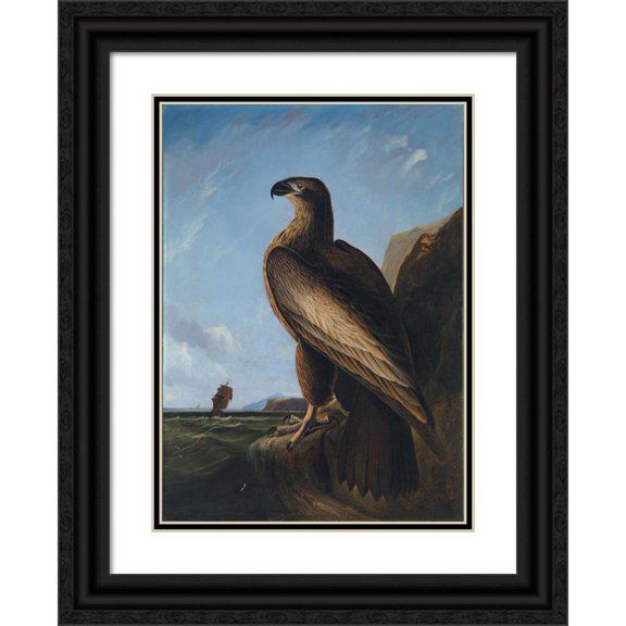 John James Audubon 18x24 Black Ornate Framed Double Matted Museum Art Print Titled: Washington Sea Eagle (ca. 1836-1839)
