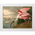 thumbnail image 1 of John James, Audubon 24x19 White Modern Wood Framed Museum Art Print Titled - Roseate Spoonbill, 1 of 4