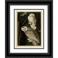 thumbnail image 1 of John James Audubon 2x Matted 20x24 Black Ornate Framed Art Print 'Plate 121 Snowy Owl', 1 of 2