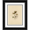 thumbnail image 1 of John James Audubon 2x Matted 20x24 Black Ornate Framed Art Print 'Plate 73 Wood Thrush', 1 of 2