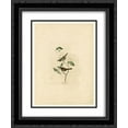 thumbnail image 1 of John James Audubon 2x Matted 20x24 Black Ornate Framed Art Print 'Plate 8 White throated Sparrow', 1 of 2