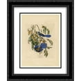 thumbnail image 1 of John James Audubon 2x Matted 20x24 Black Ornate Framed Art Print 'Plate 87 Florida Jay', 1 of 2