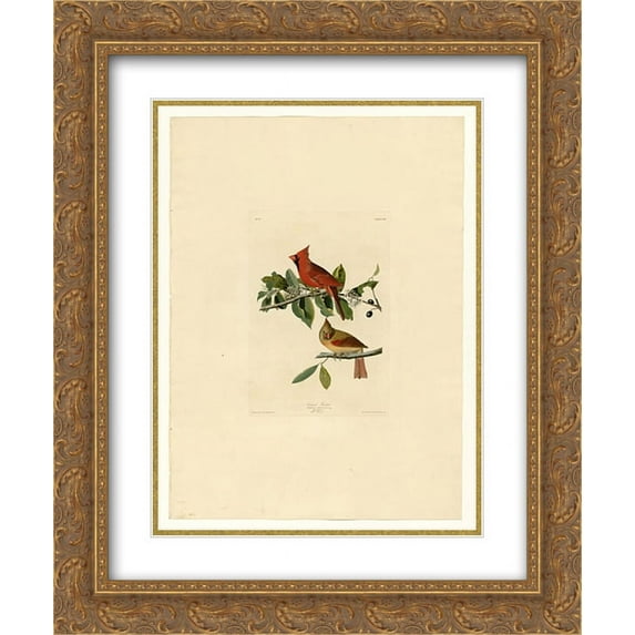 John James Audubon 2x Matted 20x24 Gold Ornate Framed Art Print 'Plate 159 Cardinal Grosbeak'