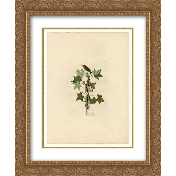John James Audubon 2x Matted 20x24 Gold Ornate Framed Art Print 'Plate 45. Traill's Flycatcher'