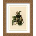 thumbnail image 1 of John James Audubon 2x Matted 20x24 Gold Ornate Framed Art Print 'Plate 7. Purple Grakle or Common Crow Blackbird', 1 of 2