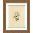 thumbnail image 1 of John James Audubon 2x Matted 20x24 Gold Ornate Framed Art Print 'Plate 88 Autumnal Warbler', 1 of 2